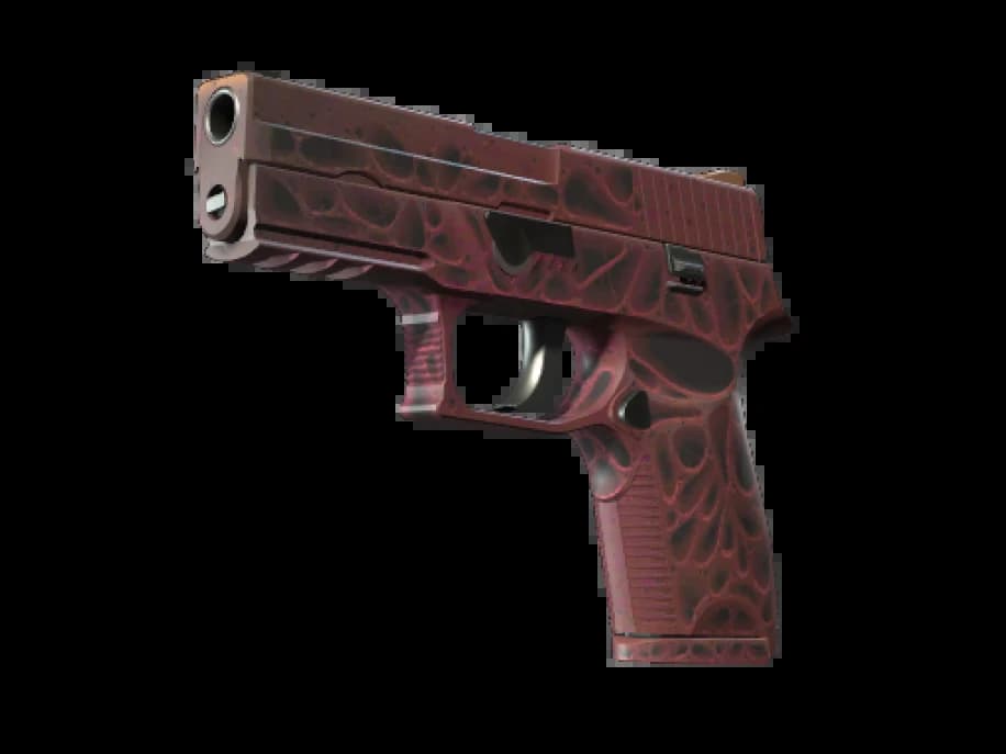 StatTrak™ P250 | Загрязнитель (Прямо с завода)