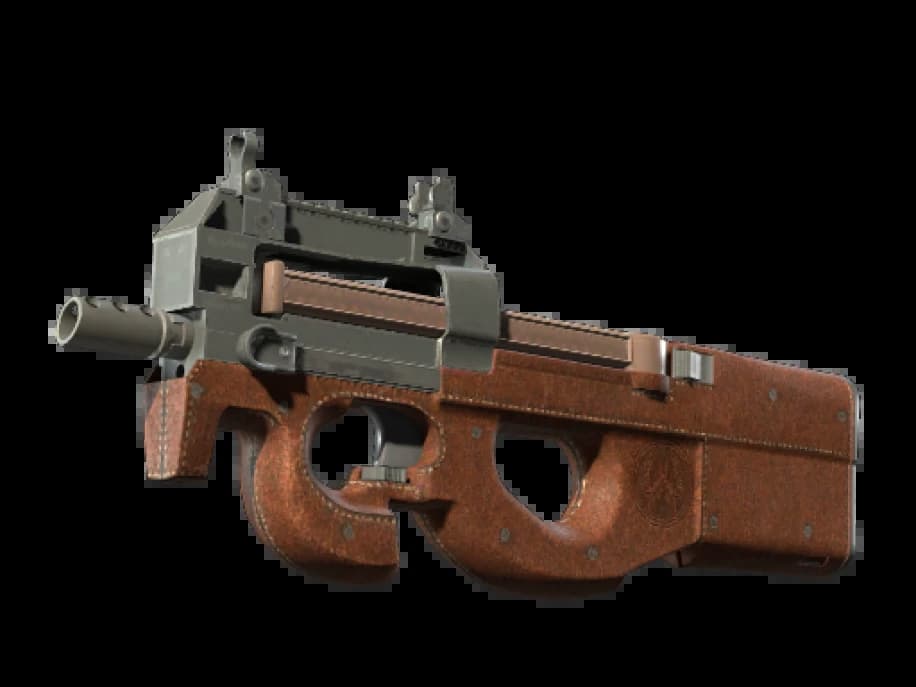 P90 | Кожа (Закалённое в боях)