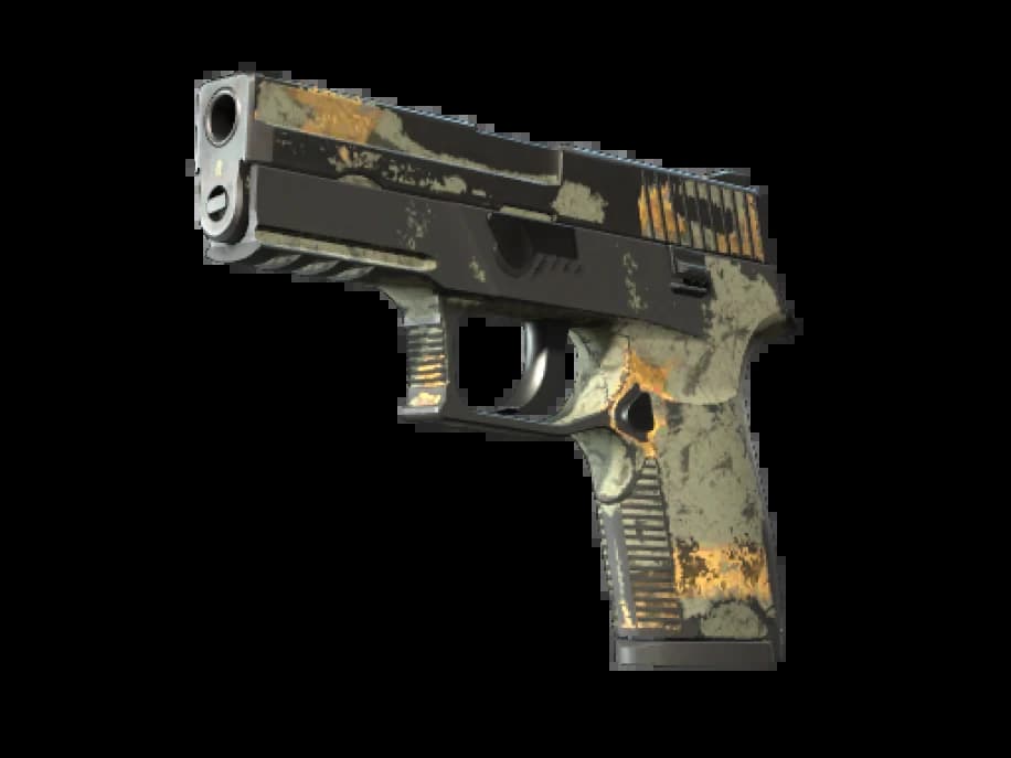 P250 | Современный охотник (Закалённое в боях)