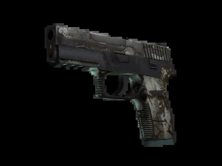 P250 | Костяная маска (Закалённое в боях)