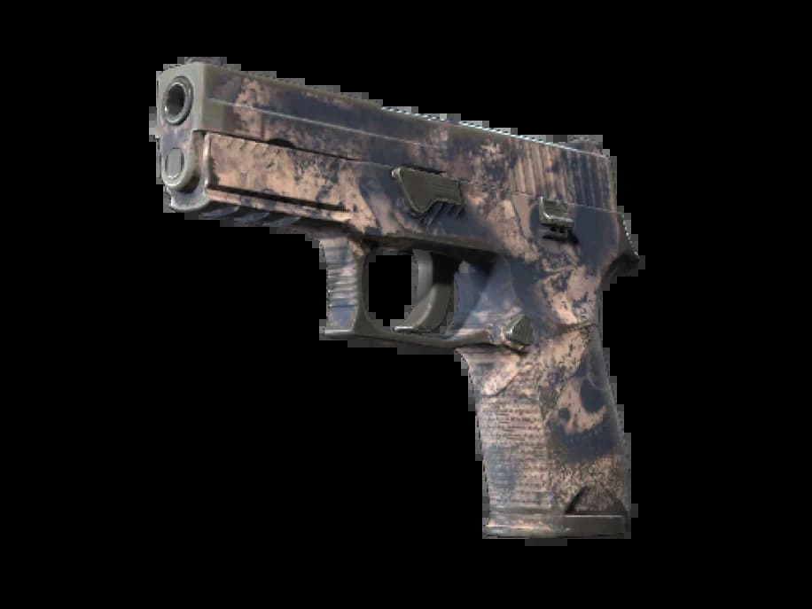 P250 | Безводье (После полевых испытаний)