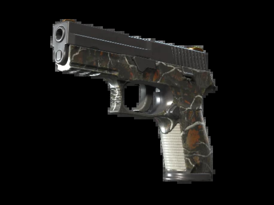 P250 | Мелкая дичь (После полевых испытаний)
