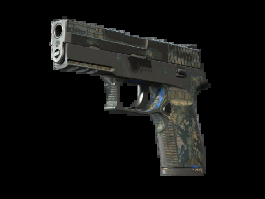 P250 | Обменник (Закалённое в боях)