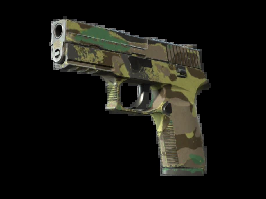 P250 | Северный лес (Поношенное)