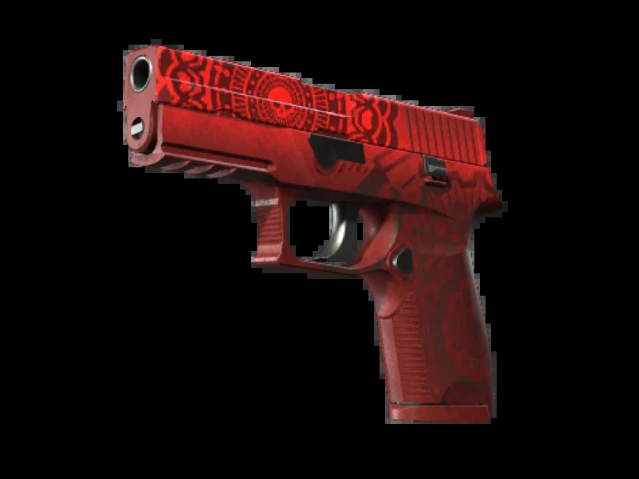 P250 | Покойник (Закалённое в боях)