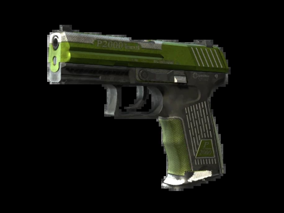 P2000 | Дерн (Закалённое в боях)