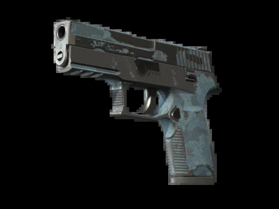 P250 | Лесная ночь (Закалённое в боях)