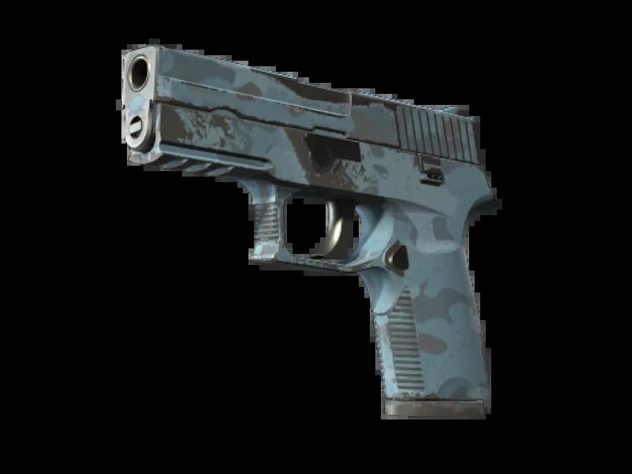 P250 | Лесная ночь (После полевых испытаний)